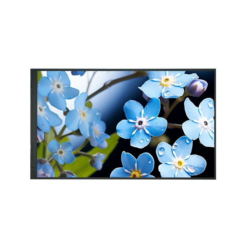 .0.0 'औद्योगिक IPS HD TFT TFD LCD प्रदर्शन मोड्युल